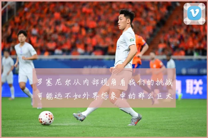 罗塞尼尔从内部视角看我们的挑战可能远不如外界想象中的那么巨大成长观察-深度解析