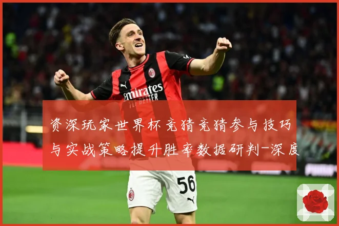 资深玩家世界杯竞猜竞猜参与技巧与实战策略提升胜率数据研判-深度解析